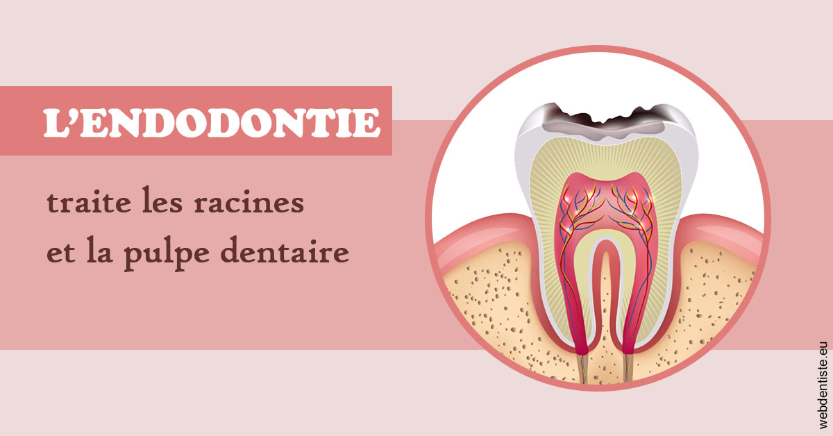https://dr-meyer-jm.chirurgiens-dentistes.fr/L'endodontie 2