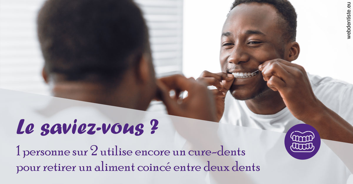 https://dr-meyer-jm.chirurgiens-dentistes.fr/Cure-dents 2