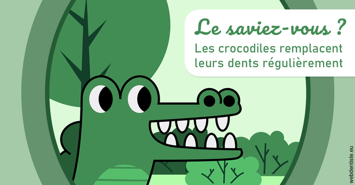 https://dr-meyer-jm.chirurgiens-dentistes.fr/Crocodiles 2