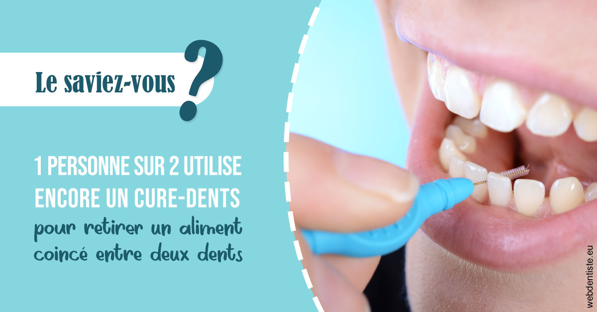 https://dr-meyer-jm.chirurgiens-dentistes.fr/Cure-dents 1