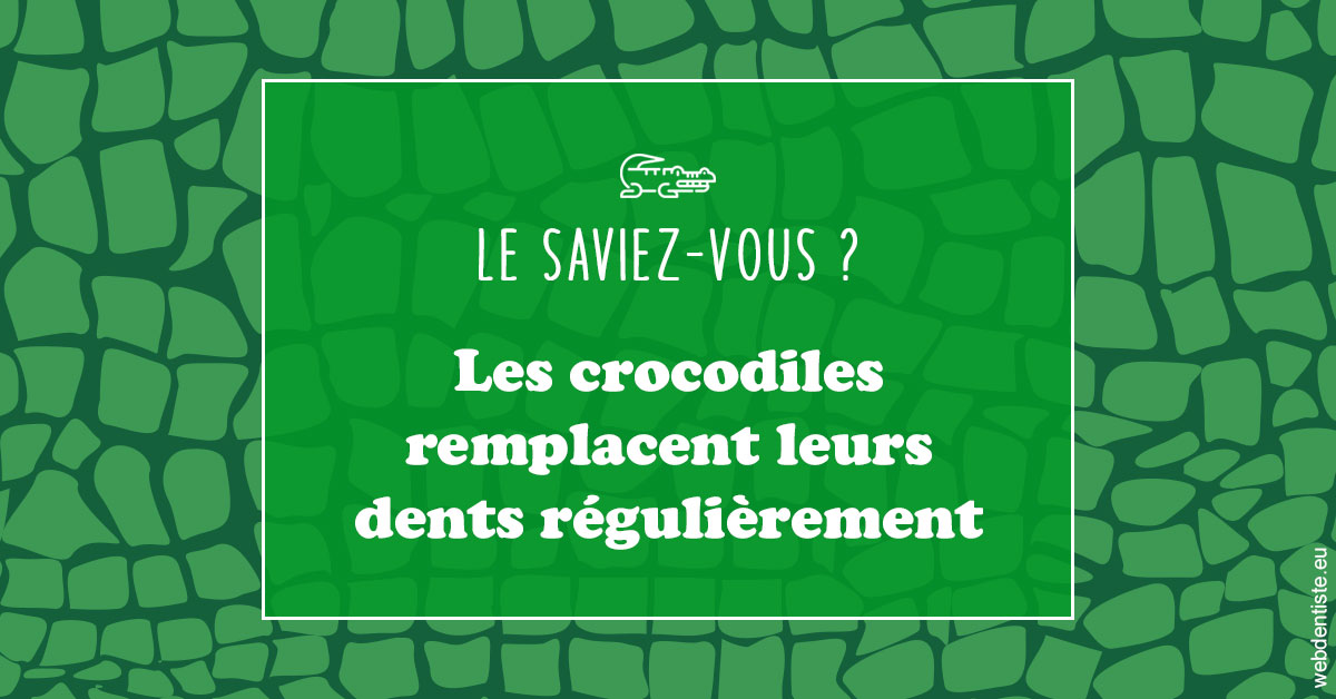 https://dr-meyer-jm.chirurgiens-dentistes.fr/Crocodiles 1